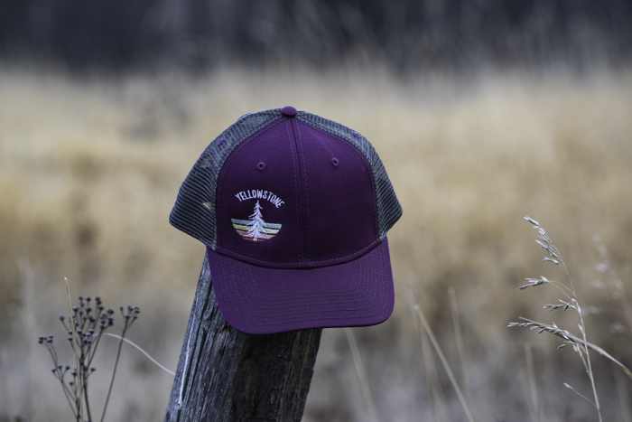 Colorful Pine – Colorado – Hat - MT Brand Apparel